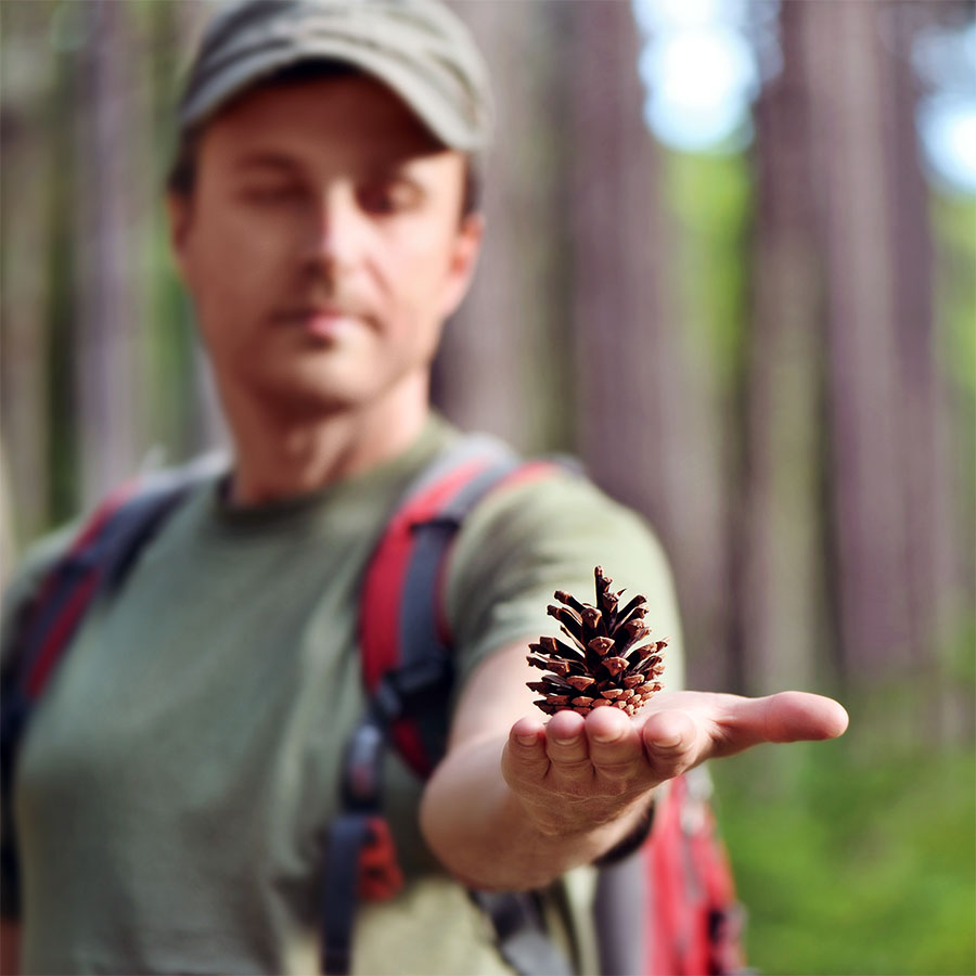 BCBA handing out a pinecone